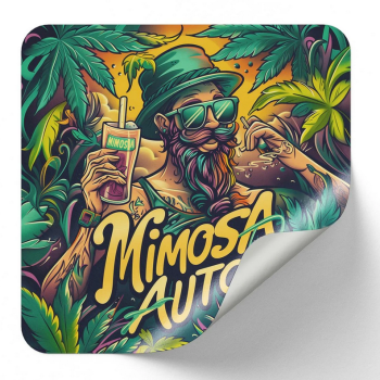 Preview: Samen 3x Mimosa Automatik Nordkraut